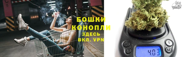 гашик Нефтекумск
