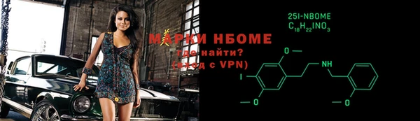 гашик Нефтекумск